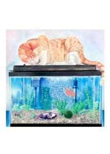 Colored pencil drawing of a kitty on a fish tank, art by Meelena Spikes.